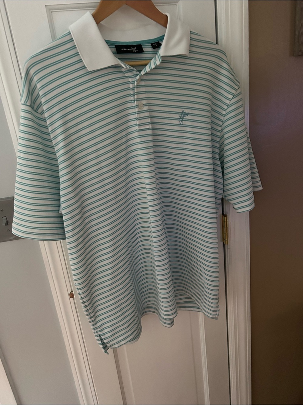 Ashworth White Collar Mint Striped Polo